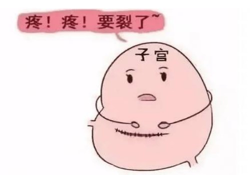 细究空卵泡的根本，杜绝最后的5%的概率