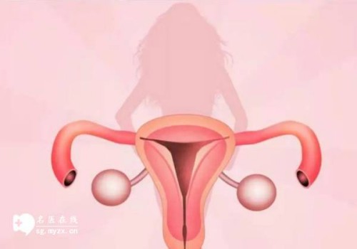 子宫肌瘤怀孕几个月就安全了，这样治对身体相对好点