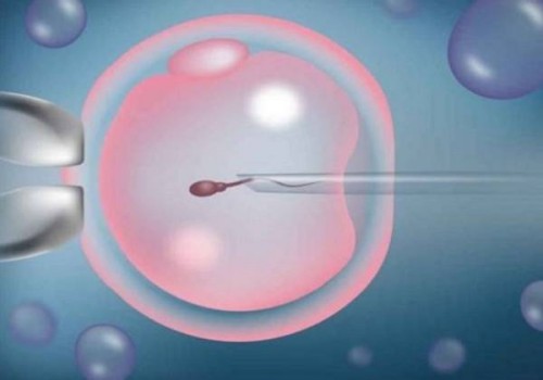 苏州助孕试管代怀生子:2022不孕女性在做试管婴儿时冷冻胚胎和胚胎解冻要花多少钱呢?