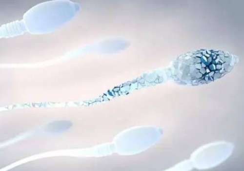苏州助孕代生公司：﻿怀孕期间补多少钙才算合适？注意这3点就行