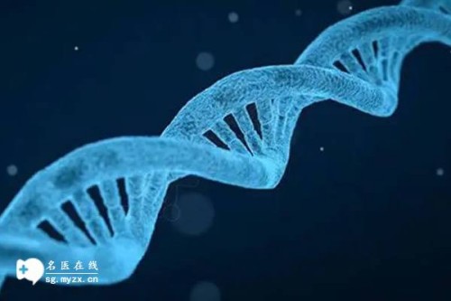 囊胚质量影响试管移植成功率，囊胚质量越好着床几率越大