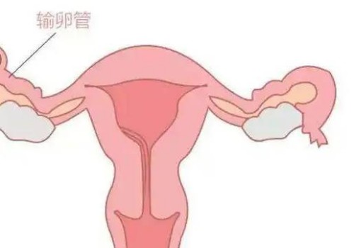 苏州供卵试管：2023青岛中西医结合医院试管婴儿医疗团队介绍，助孕成功率多少