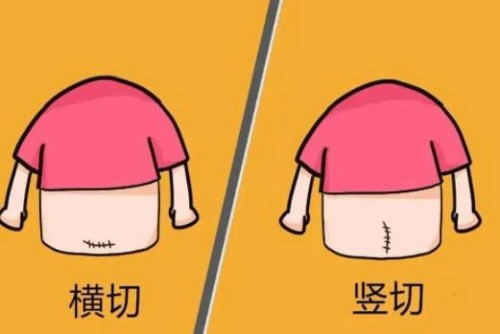 试管移植后喝中药调理的好处汇总，可不仅仅是提高着床率