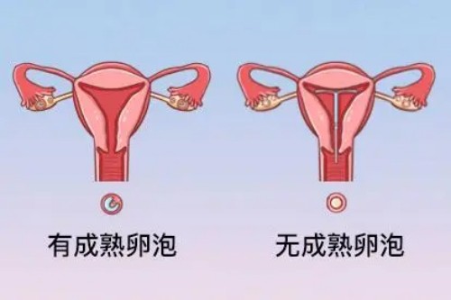 苏州试管助孕价格：婴儿经常尿粉色，多种疾病的警示！你需要知道的一切