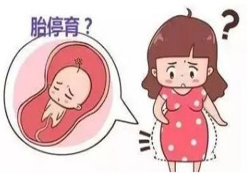 孕期呕吐严重怎么办,孕妇怎么可以止住呕吐
