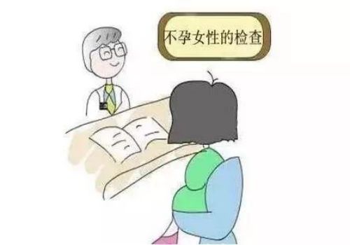双子宫一种较为少见的发育异常，女性双子宫的危害不容忽视！