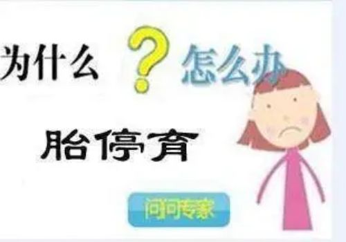 苏州助孕机构：抗卵巢抗体阳性做试管有影响吗？试管前做好检查