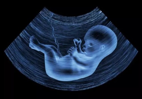 苏州试管助孕公司：2023美国试管生二胎成功率是多少？附各年龄阶段成功率