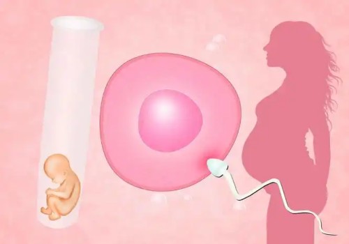 苏州试管婴儿价格：子宫内膜薄想做试管，先做好提前准备成功率更高