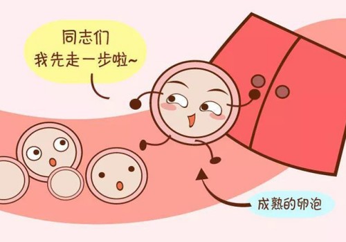 一不小心就容易不孕不育，日常生活要注意