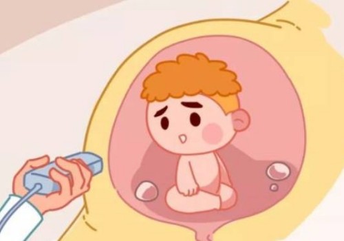 国内卵子冷冻费用首次公开，附冻卵全流程解析