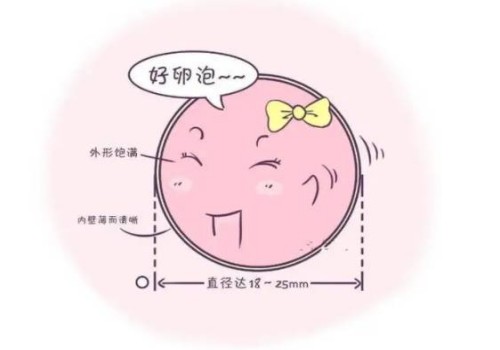 苏州助孕公司：切除输卵管之后这样做可以加快恢复，早点恢复少受罪