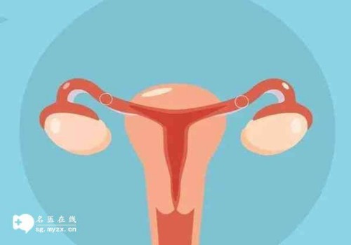 如何给婴儿做营养健康的辅食,给婴儿添加辅食的原则是什么