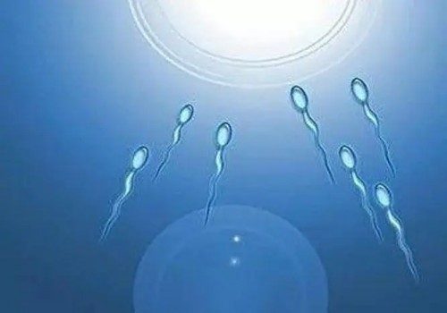 苏州试管婴儿价格：婚前孕检是选择私立医院还是公立医院呢-