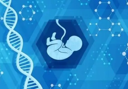 2023年试管助孕指南：想做试管但不了解的患者赶紧收藏
